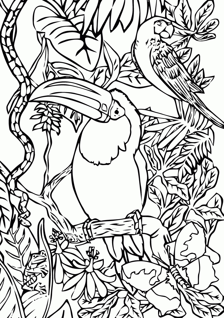 Coloriage Oiseau Qui Vole Imprimer serapportantà Colloriage A Imprimer 