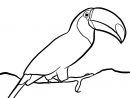 Coloriage Oiseau Toucan Toco Vit Dans La Foret Tropicale dedans Coloriage Oiseau