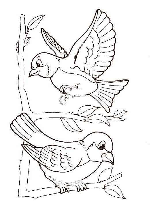 Coloriage Oiseaux Exotiques Dessin Gratuit À Imprimer encequiconcerne Coloriage Oiseaux À Imprimer 