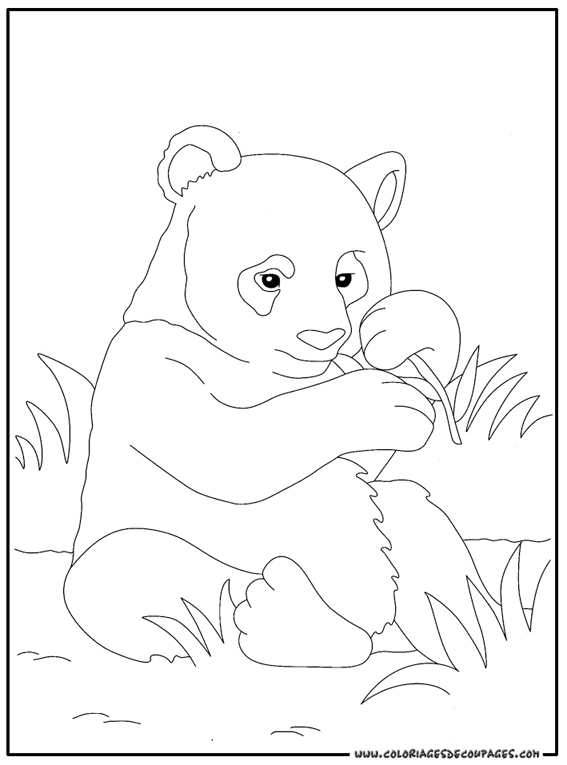 Coloriage Panda #12488 (Animaux) – Album De Coloriages destiné Panda À Colorier