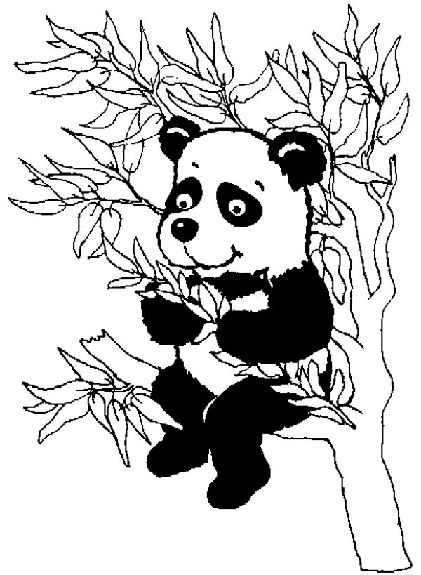 Coloriage Panda #12610 (Animaux) - Album De Coloriages intérieur Panda Dessin 