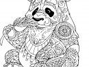 Coloriage Panda Adulte Zentangle Dessin Gratuit avec Coloriage Panda