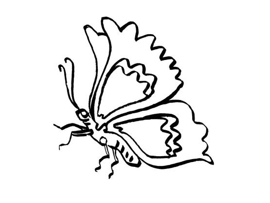 Coloriage Papillon 1 - Coloriage Papillons - Coloriages tout Coloriage De Papillon Sur Une Fleur