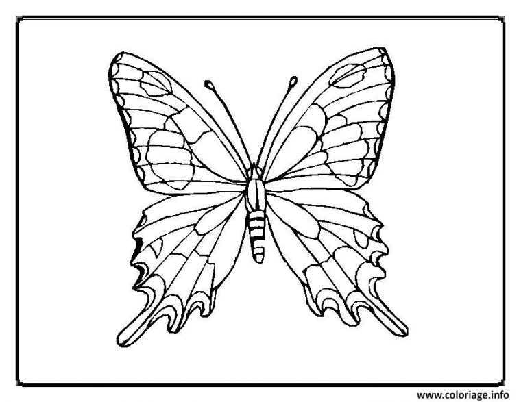 Coloriage Papillon 33 Dessin Papillon À Imprimer à Papillon En Coloriage