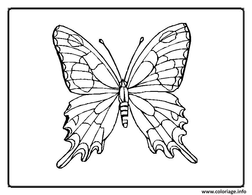 Coloriage Papillon 33 Dessin Papillon À Imprimer à Papillon En Coloriage 