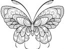 Coloriage Papillon Adulte Jolis Motifs 11 Dessin Gratuit tout Masque Papillon À Imprimer
