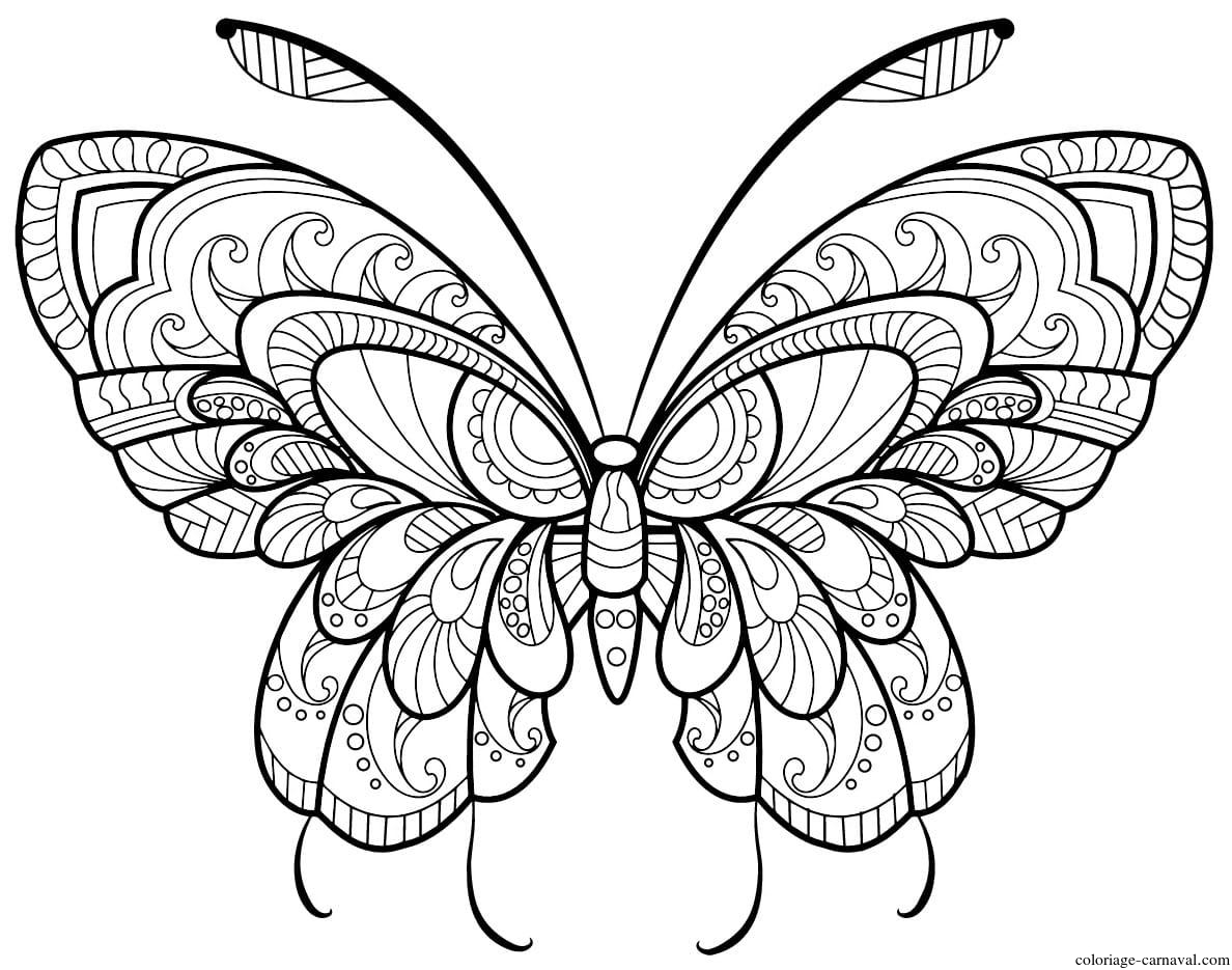 Coloriage Papillon Adulte Jolis Motifs 11 Dessin Gratuit tout Masque Papillon À Imprimer