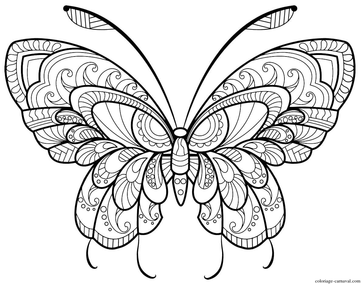 Coloriage Papillon Adulte Jolis Motifs 11 Dessin Gratuit tout Patron De Papillon À Imprimer 