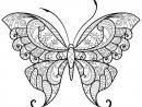 Coloriage Papillon Adulte Jolis Motifs 12 - Jecolorie encequiconcerne Papillon Coloriage