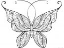 Coloriage Papillon Adulte Jolis Motifs 14 Dessin Adulte intérieur Coloriage De Papillons