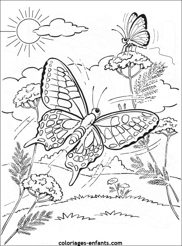 Coloriage Papillon Difficile Dans La Nature Dessin Gratuit à Coloriage Papillon À Imprimer Gratuit 