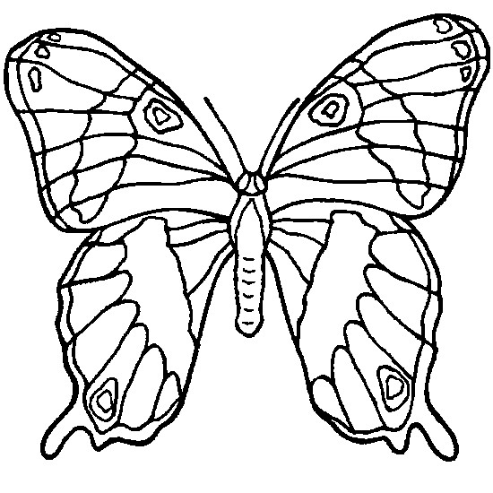 Coloriage Papillon En Ligne Dessin Gratuit À Imprimer intérieur Coloriage Gratuit Papillon 