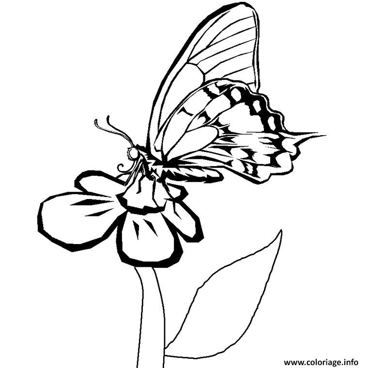 Coloriage Papillon Fleur Dessin Papillon À Imprimer pour Coloriage Papillon À Imprimer Gratuit 