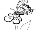 Coloriage Papillon Fleur Dessin Papillon À Imprimer serapportantà Coloriage Papillon À Imprimer