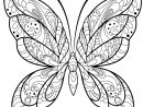 Coloriage Papillon Jolis Motifs 2 - Jecolorie encequiconcerne Papillon Coloriage