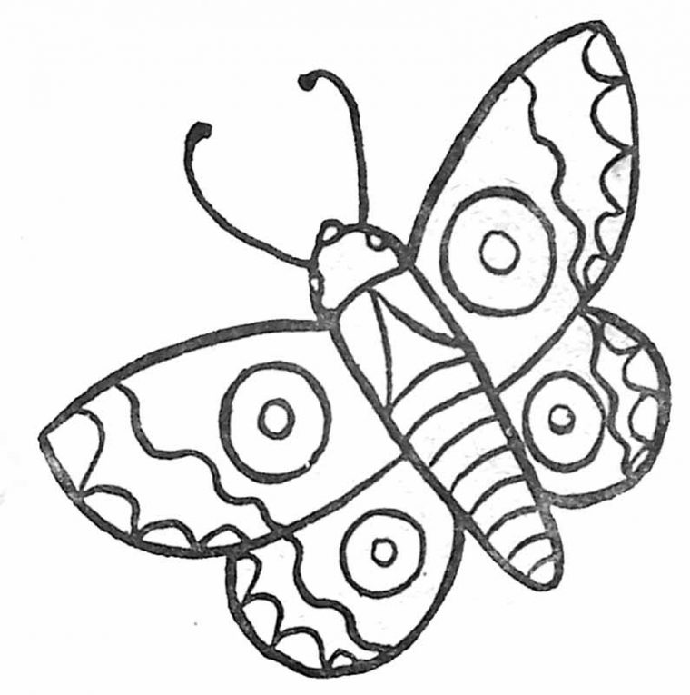 Coloriage Papillon tout Dessin De Petit Papillon