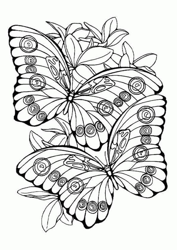 Coloriage Papillons 8 Sur Hugolescargot encequiconcerne Papillon Coloriage 