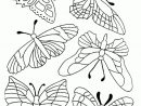 Coloriage Papillons Gratuit 12200 - Animaux encequiconcerne Image Papillon À Colorier