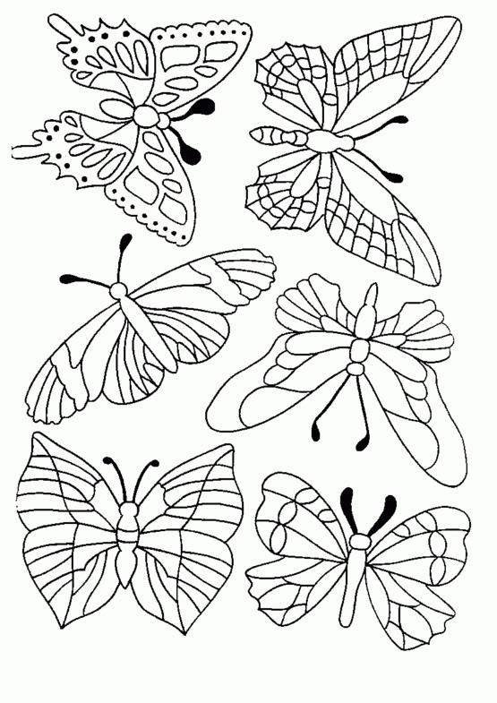 Coloriage Papillons Gratuit 12200 - Animaux encequiconcerne Image Papillon À Colorier 
