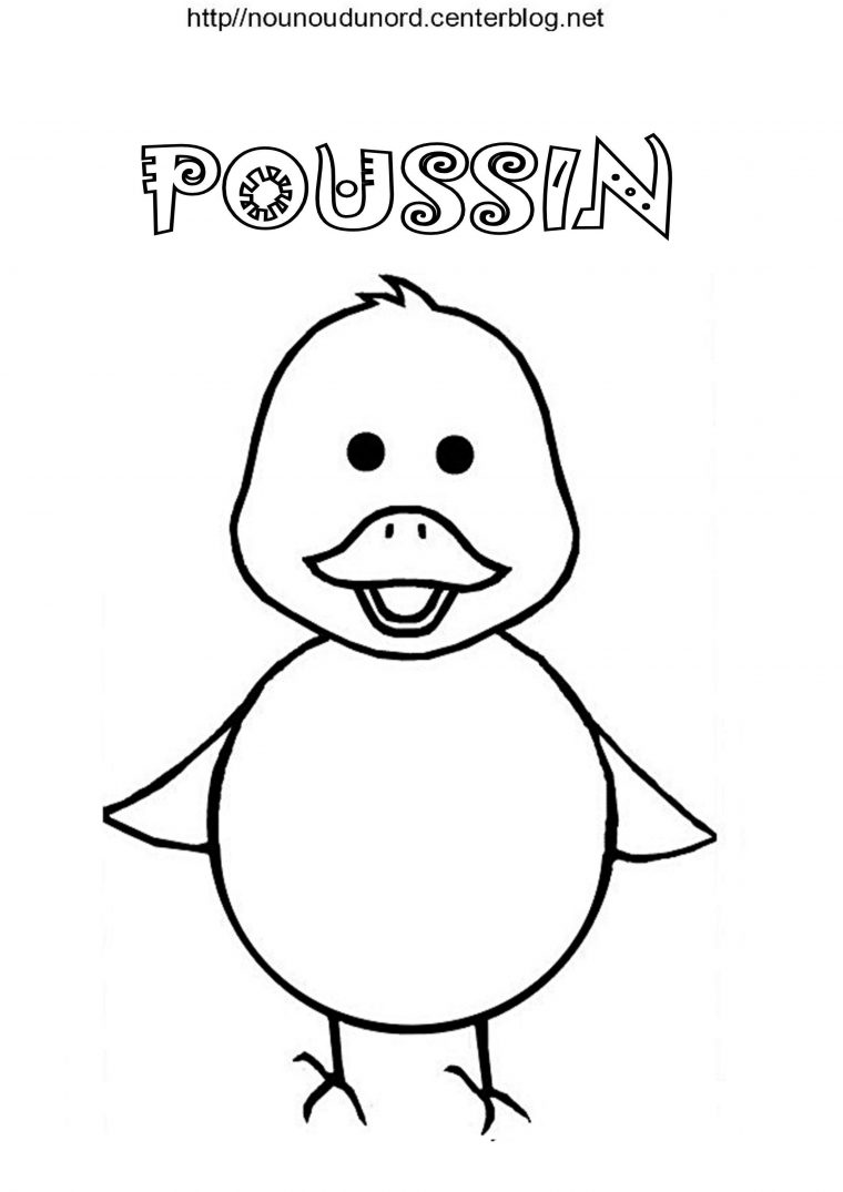 Coloriage Paques Poussin tout Dessiner Un Poussin