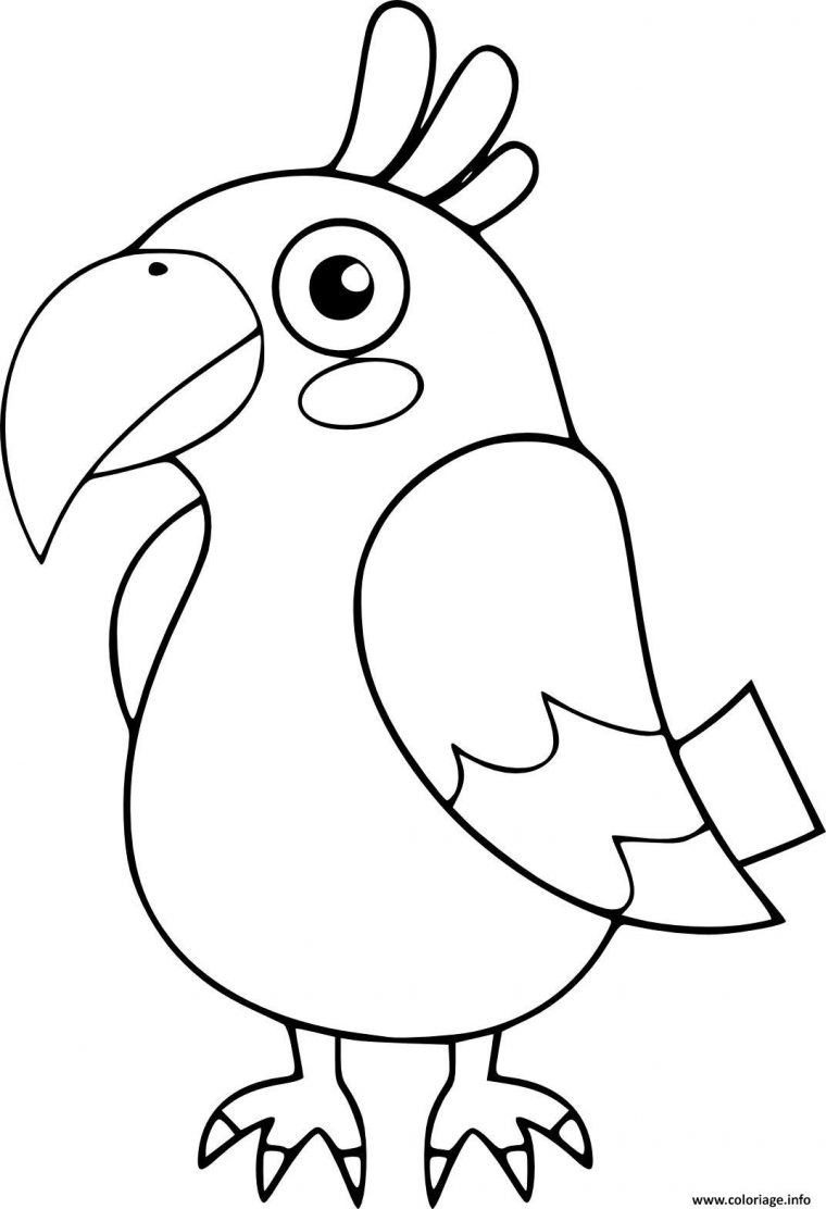 Coloriage Perroquet Oiseau Maternelle Pour Enfants Dessin destiné Coloriage Pour Bebe