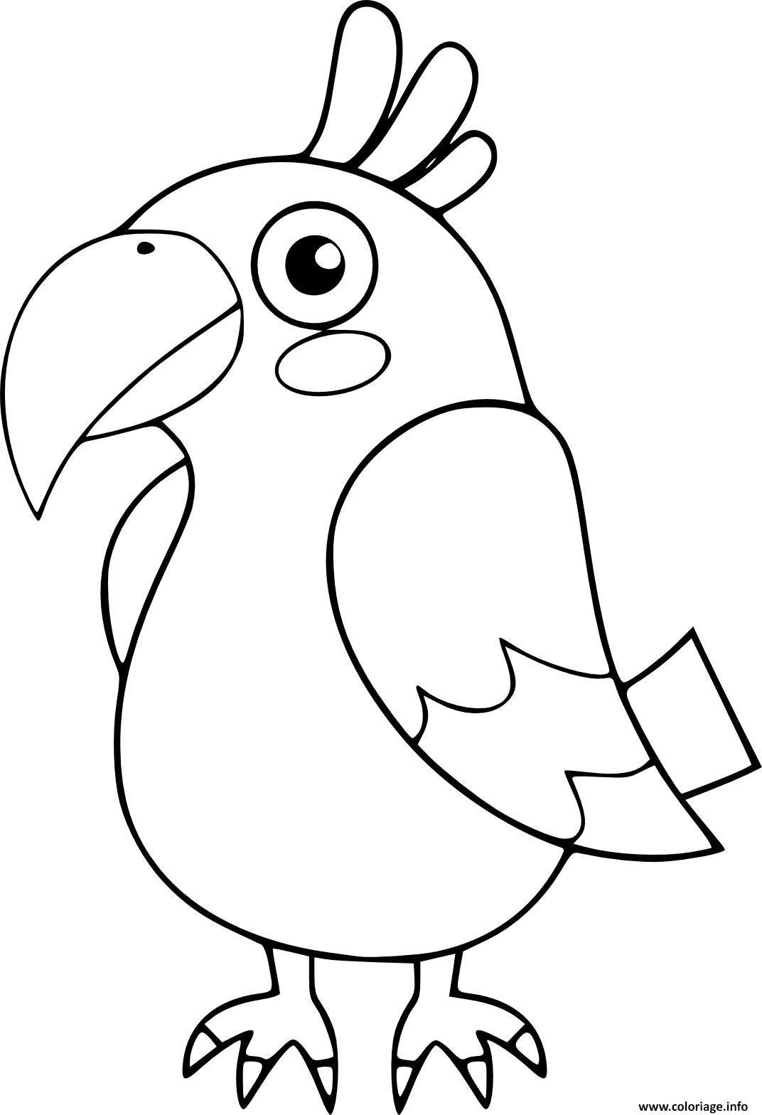 Coloriage Perroquet Oiseau Maternelle Pour Enfants Dessin destiné Coloriage Pour Bebe 