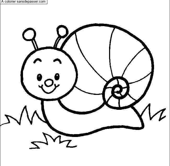 Coloriage Petit Escargot - Sans Dépasser intérieur Dessin Escargot 