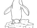 Coloriage Pingouin #16864 (Animaux) - Album De Coloriages destiné Coloriage Pingouin