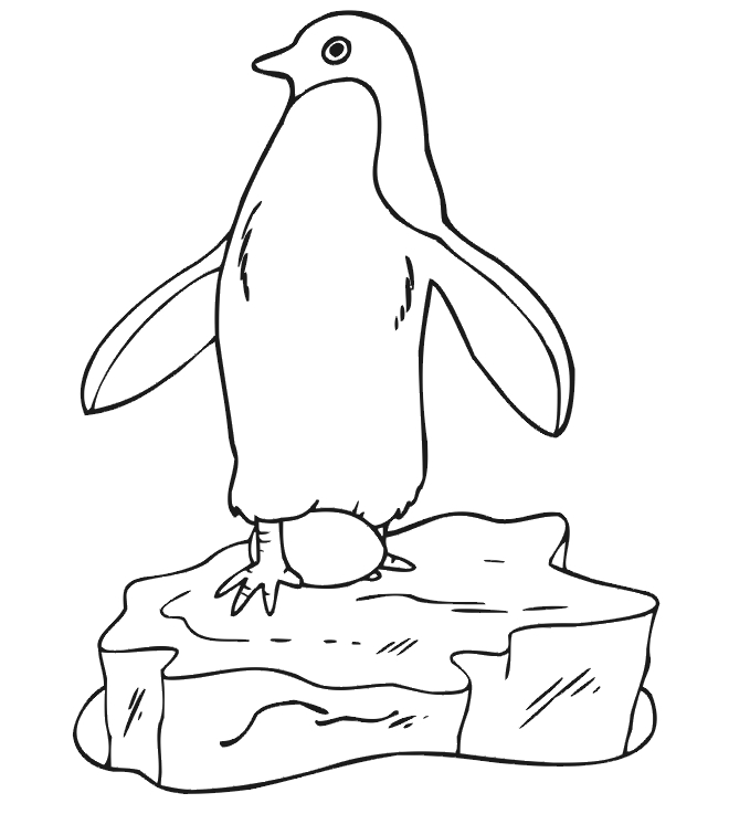 Coloriage Pingouin #16864 (Animaux) - Album De Coloriages destiné Coloriage Pingouin 