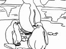 Coloriage Pingouin #16876 (Animaux) - Album De Coloriages tout Coloriage Pingouin