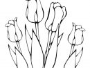 Coloriage Plusieurs Fleurs Tulipes Greigii Dessin À Imprimer pour Fleur Coloriage A Imprimer