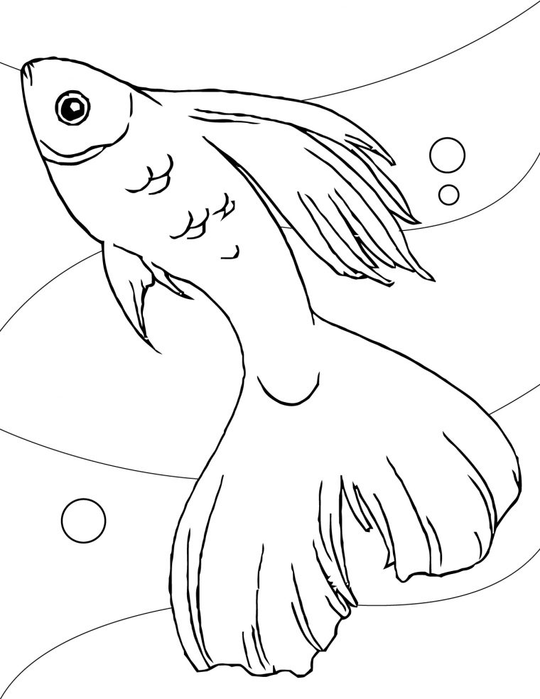 Coloriage Poisson #17043 (Animaux) – Album De Coloriages destiné Poisson Coloriage