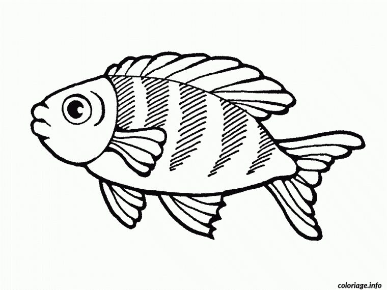 Coloriage Poisson 26 – Jecolorie dedans Poisson Coloriage