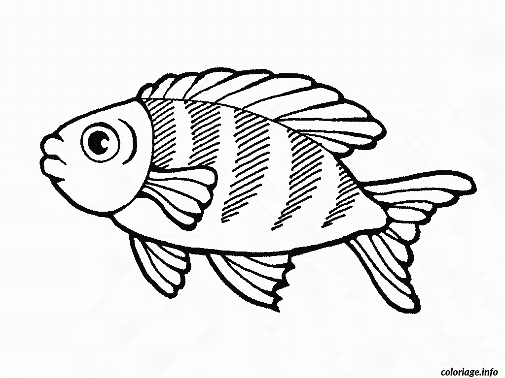 Coloriage Poisson 26 - Jecolorie dedans Poisson Coloriage 