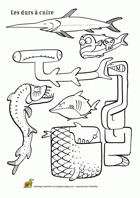 Coloriage Poisson Avril Durs A Cuire Sur Hugolescargot concernant Poisson D Avril Rigolo A Imprimer 