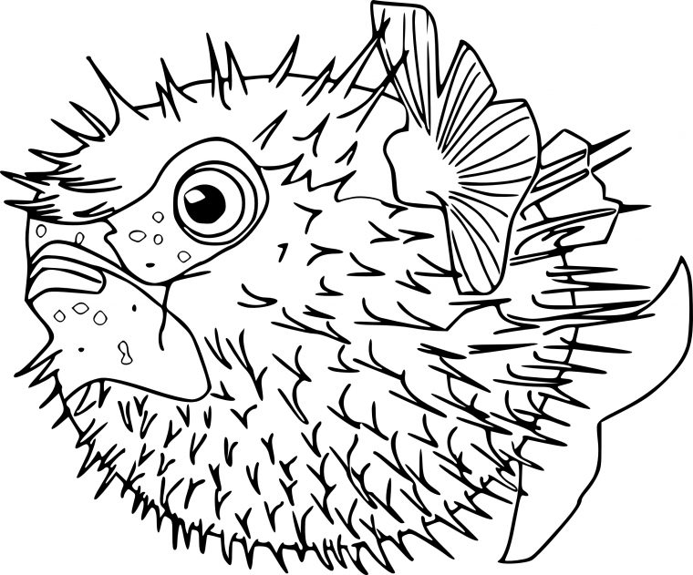 Coloriage Poisson Lune À Imprimer encequiconcerne Coloriages A Colorier