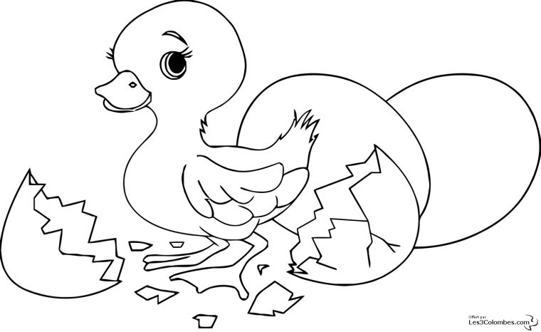 Coloriage Poussin De Paques 5 – Coloriage En Ligne Gratuit concernant Poussin Coloriage