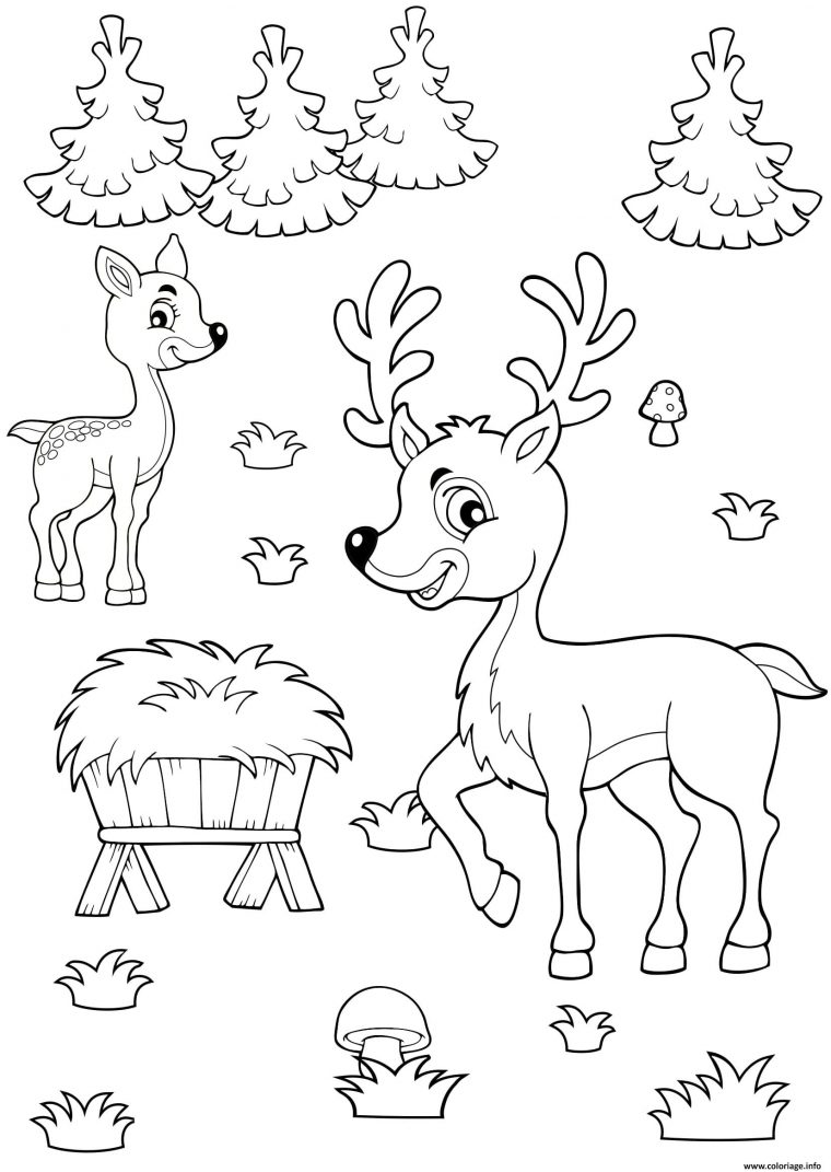 Coloriage Reine Sapin De Noel Dessin Noel À Imprimer concernant Coloriage Noel Gratuit Imprimer