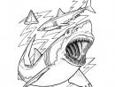 Coloriage Requin Gratuit À Imprimer concernant Coloriage Zebre À Imprimer