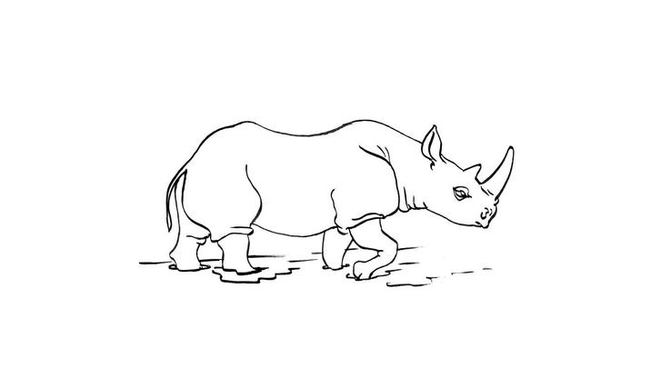 Coloriage Rhinocéros 11 - Coloriage Rhinoceros dedans Dessin Rhinocéros 