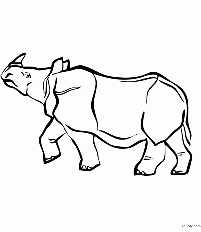 Coloriage Rhinoceros destiné Dessin Rhinocéros 