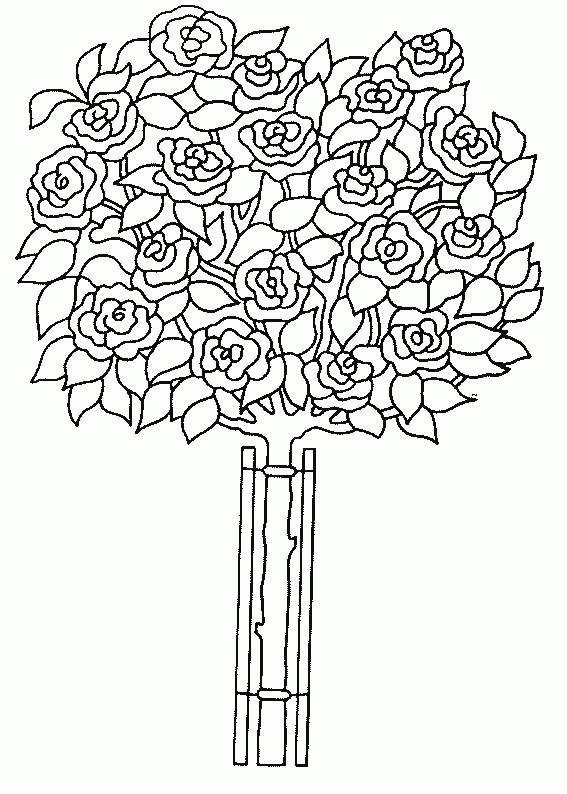 Coloriage Rose 18 - Coloriage En Ligne Gratuit Pour Enfant encequiconcerne Dessin De Fleurs À Colorier 