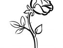 Coloriage Rose. Imprimer La Reine Des Fleurs En Ligne concernant Coloriage Rose