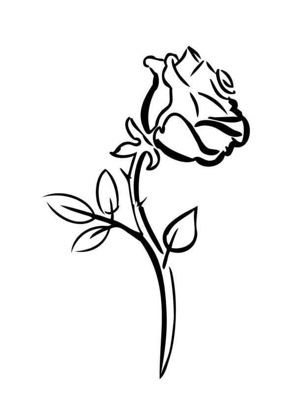 Coloriage Rose. Imprimer La Reine Des Fleurs En Ligne concernant Coloriage Rose 