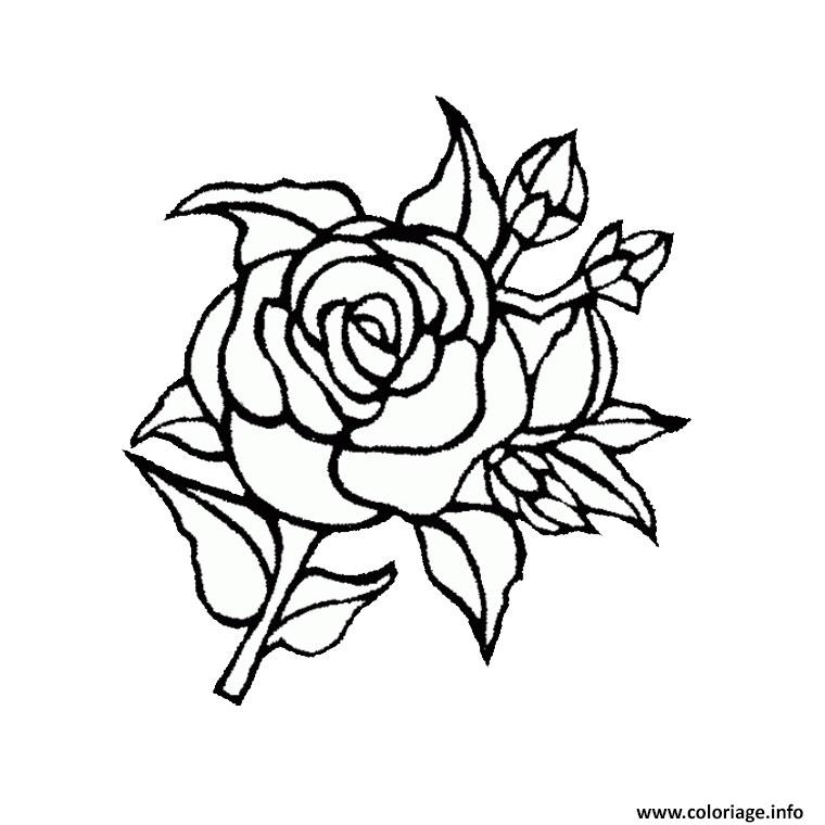 Coloriage Roses 115 Dessin Rose À Imprimer destiné Coloriage De Fleurs À Imprimer Gratuit 