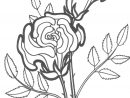 Coloriage Roses #161879 (Nature) - Album De Coloriages concernant Coloriage Rose