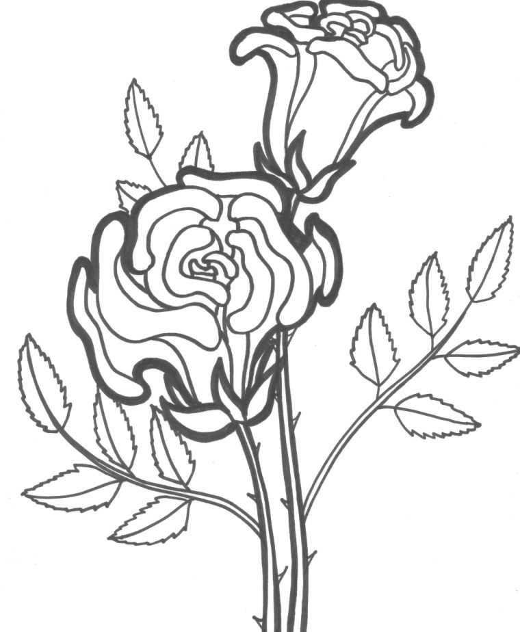 Coloriage Roses #161879 (Nature) – Album De Coloriages concernant Coloriage Rose