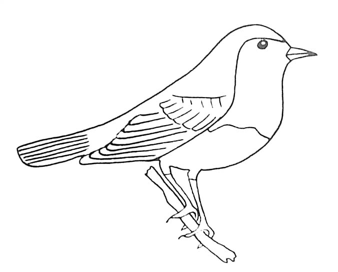 Coloriage Rouge Gorge destiné Dessin Facile Oiseau 