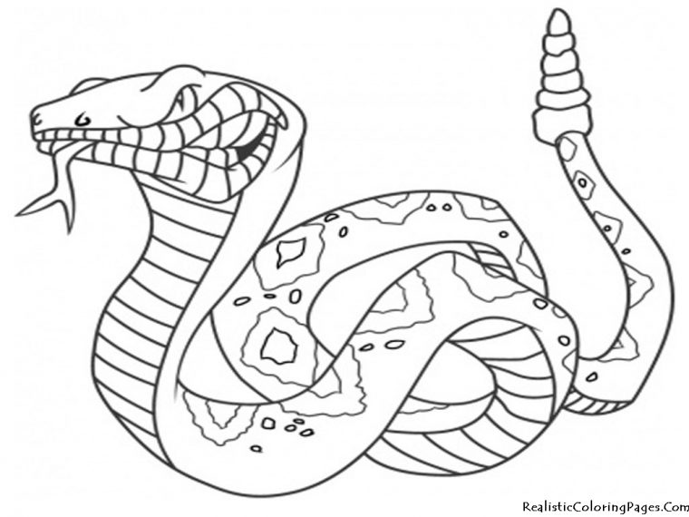 Coloriage Serpent #14342 (Animaux) – Album De Coloriages encequiconcerne Coloriage Serpent