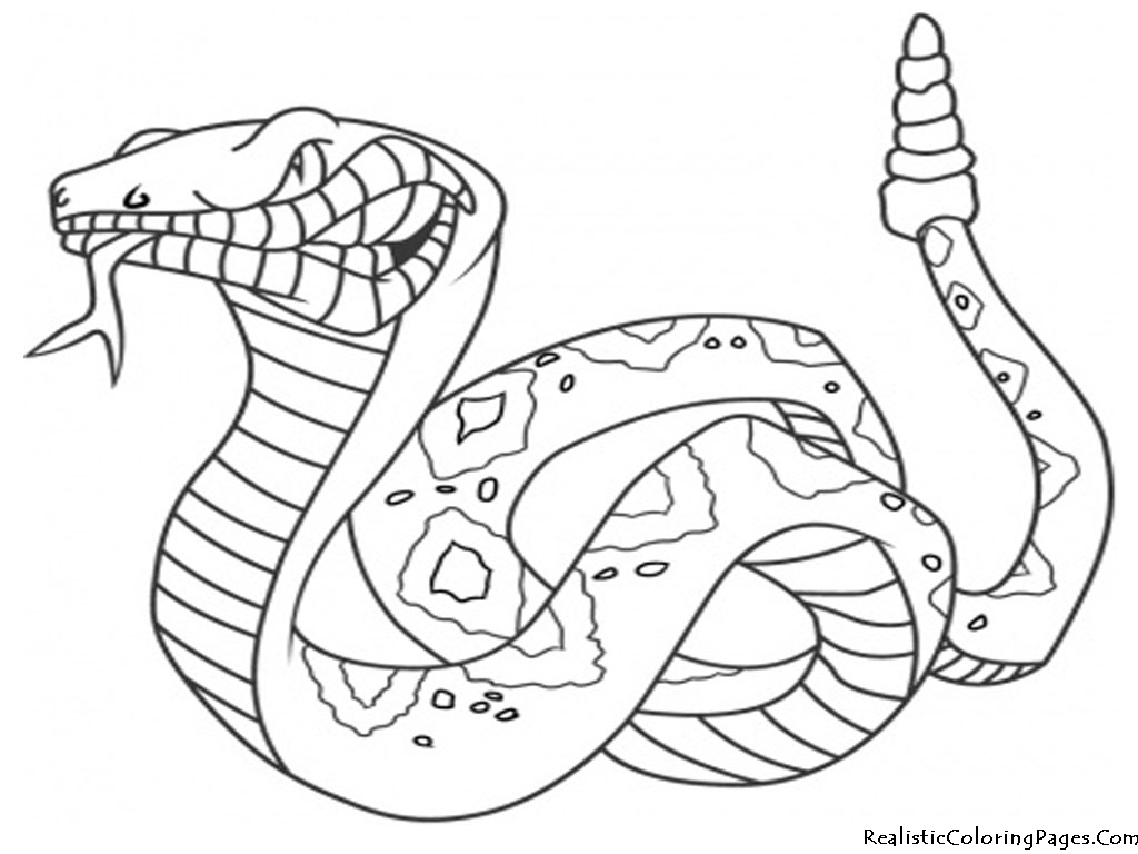 Coloriage Serpent #14342 (Animaux) - Album De Coloriages encequiconcerne Coloriage Serpent 